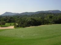 nice bunker shot