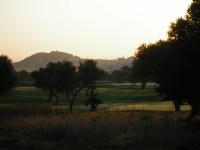 early mornig impression