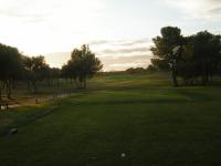 i preferr the green instead of snow and ice