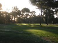 view over to green hole 4