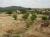 view over the future development of the Par 3 short course