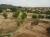 Son Quint Executive Course beginning of construction
