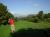 final tee shot of the day from Allen