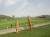 Wooden art at Son Quint