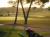 The gentle touch by the morning sun